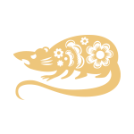 Rat